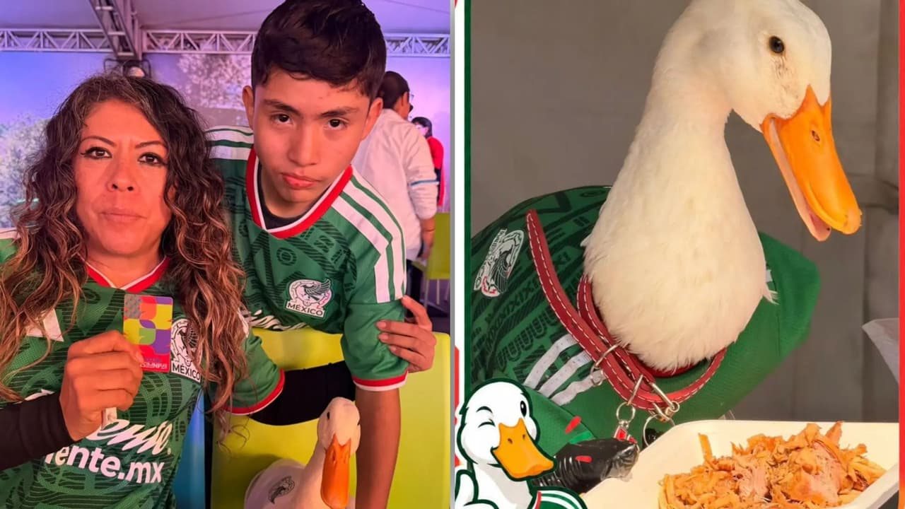 Familia del pato Merlín rechaza oferta de Poncho de Nigris