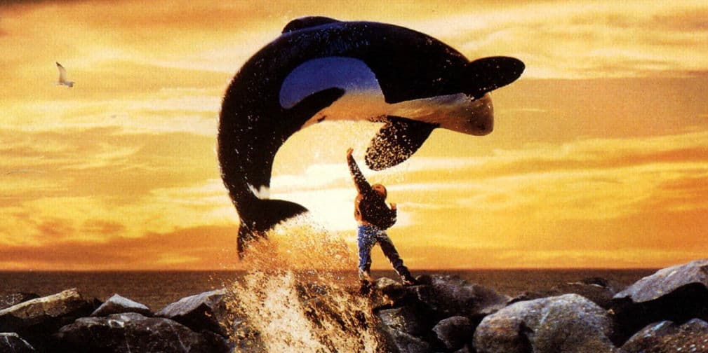 5. Keiko: Fue una orca conocida mundialmente por su participación en la saga de películas ¡Liberen a Willy!