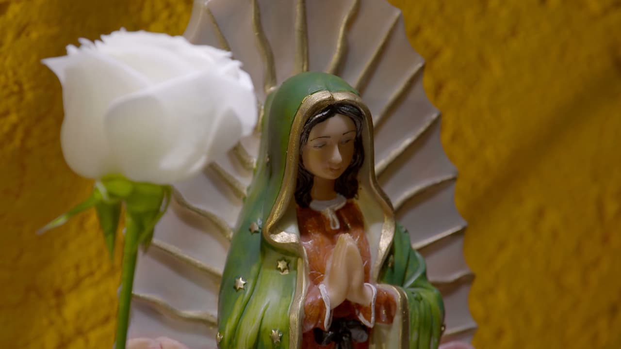TOP 10: Estos son capítulos más vistos de 'La Rosa de Guadalupe' en YouTube