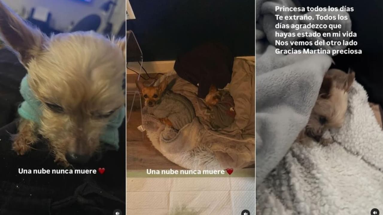 Kuno Becker se despide de su 'princesa' Martina.