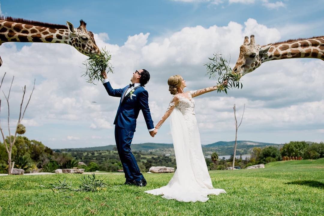 Adal Ramones dedica emotivo mensaje en el primer aniversario de su boda