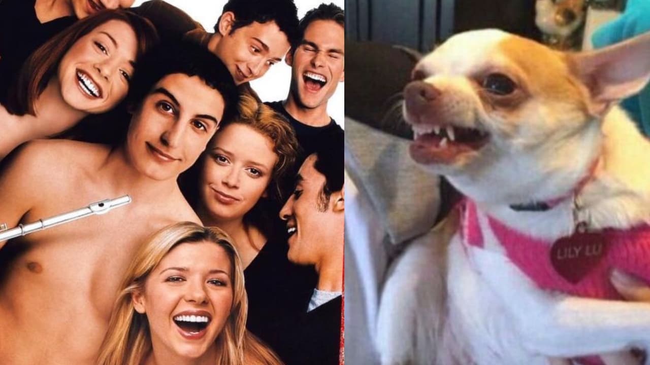 Adolescentes critican la película 'American Pie'.