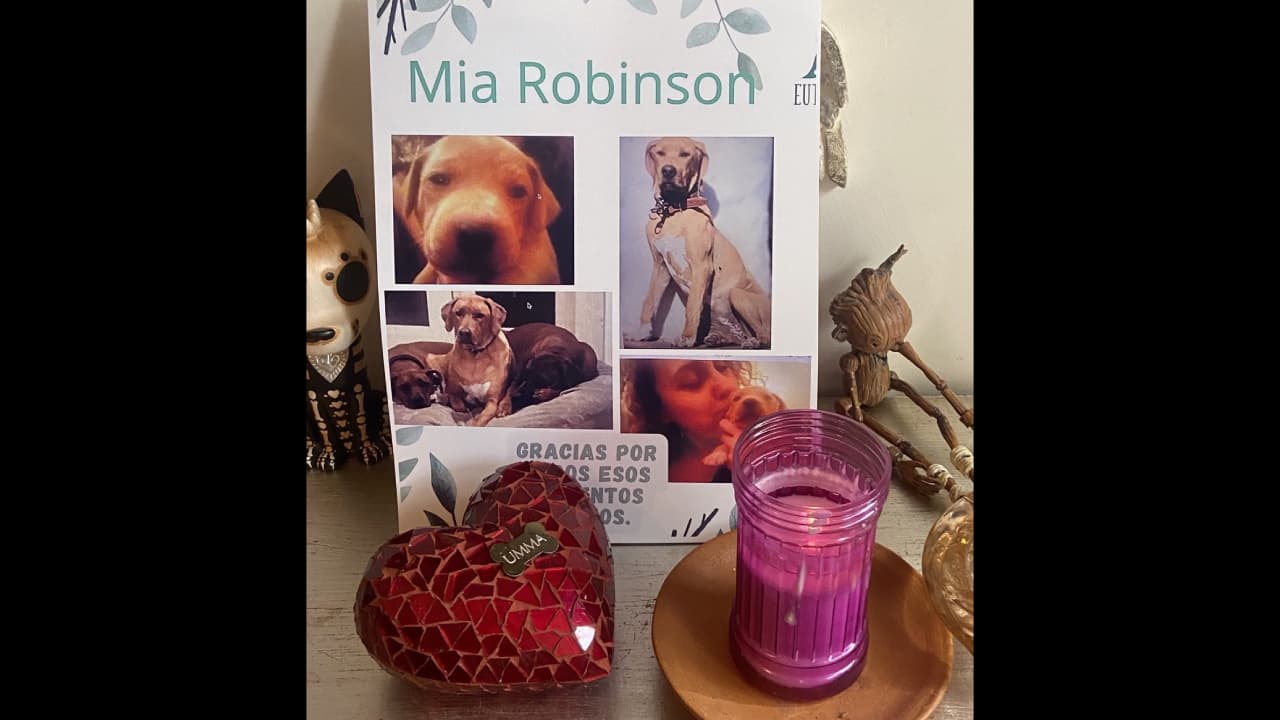 La actriz se dijo desconsolada y destrozada por la muerte de su perrita