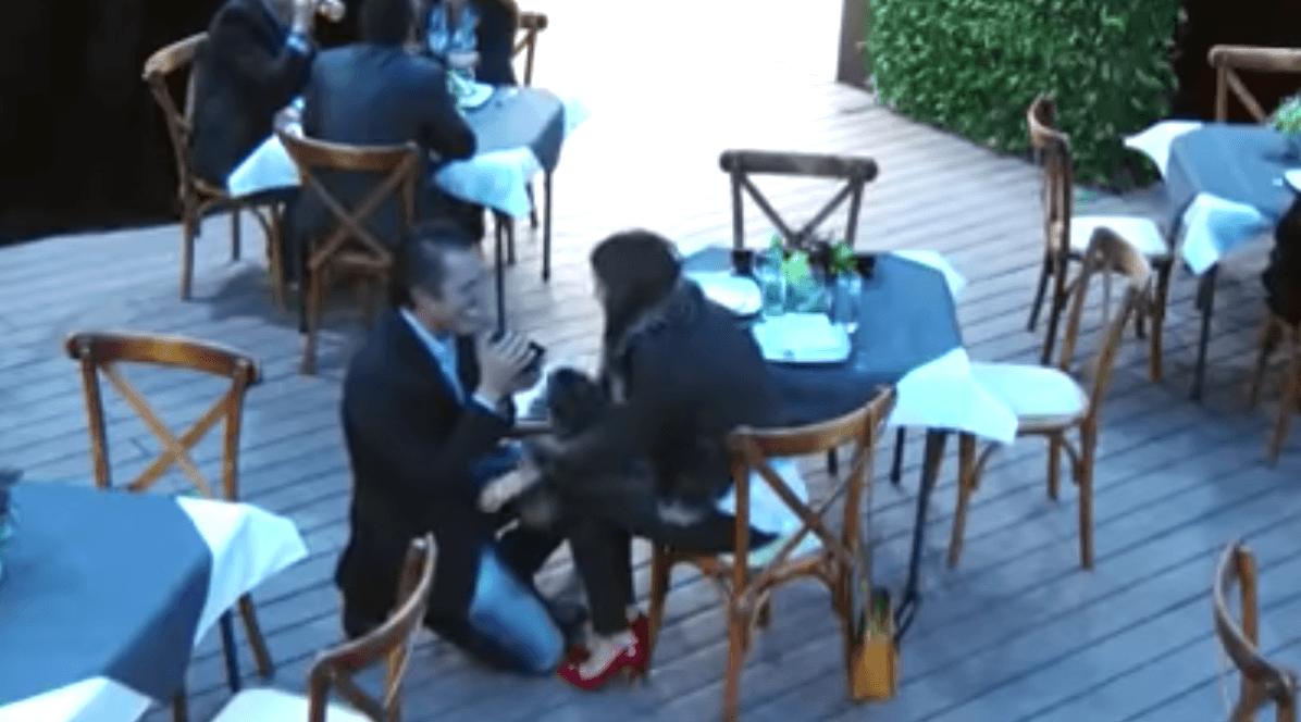 Para esto, el productor mandó construir un restaurante ficticio para entregarle el anillo de compromiso a la actriz. Incluso, esta petición romántica quedó plasmada en video, que horas después, él mismo compartió en su perfil oficial de Facebook.