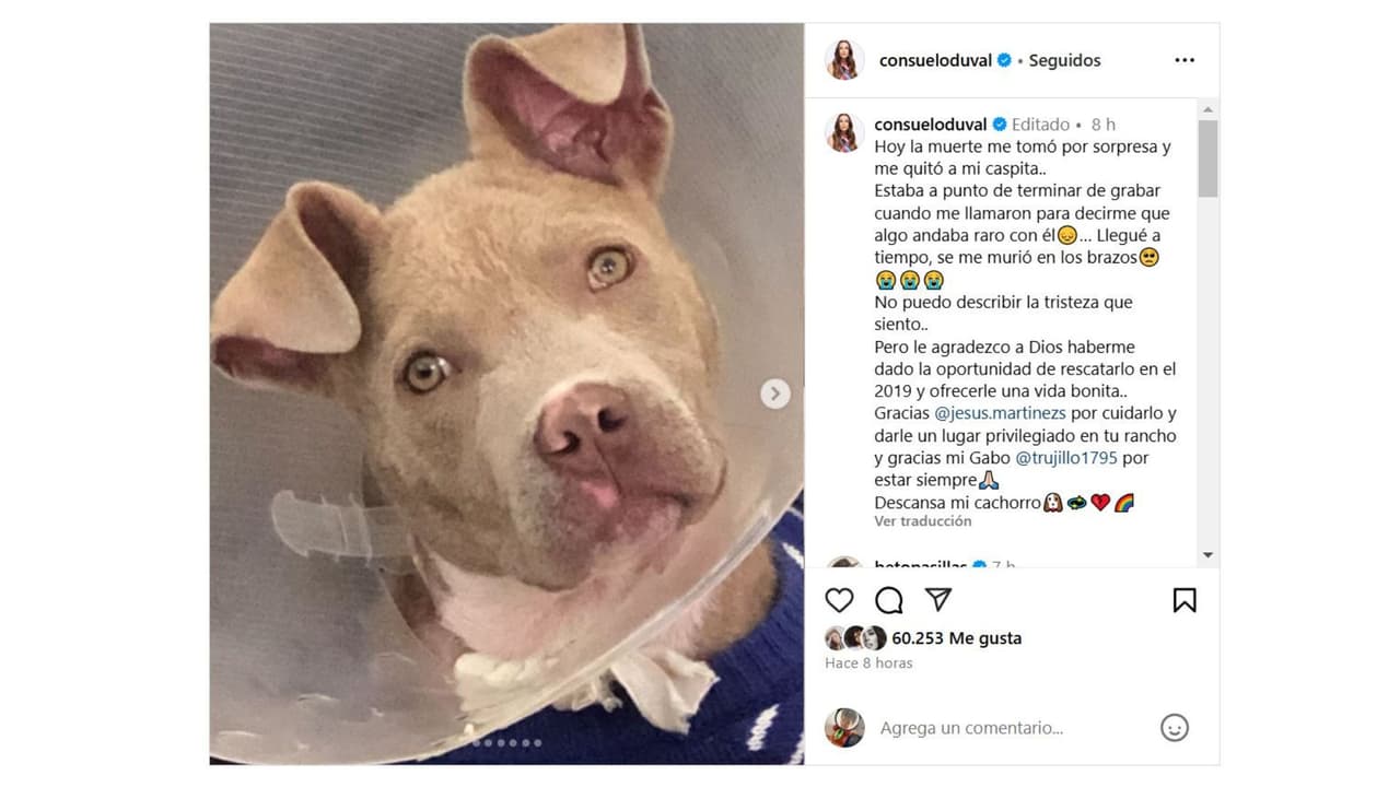 Consuelo Duval se despide de su perrito, Caspita.