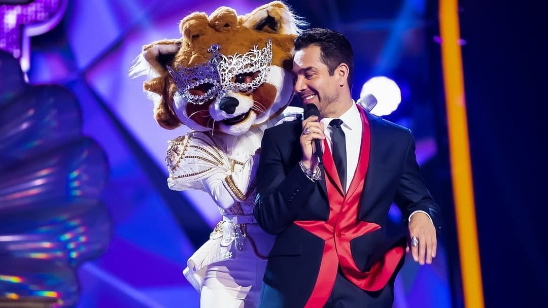 Los mejores TikTok de ¿Quién es la Máscara? 2020 que debes ver