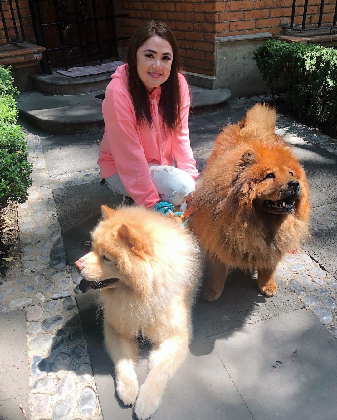 “Para verme linda aunque esté guardada en mi casa… Ya quedó mi cabello, la verdad es que el tratamiento que me pusieron y el tinte me encantó. Se ve precioso… Ahorita sí me animé a ponerme las pestañas, digo si ya solo podemos ver los ojos, que se vean increíbles”, comentó.