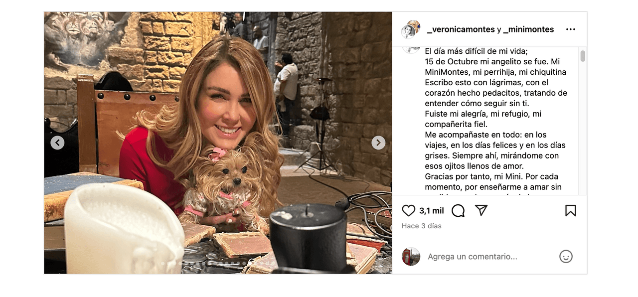 Actriz de telenovelas se despide de su hija: publica fotos