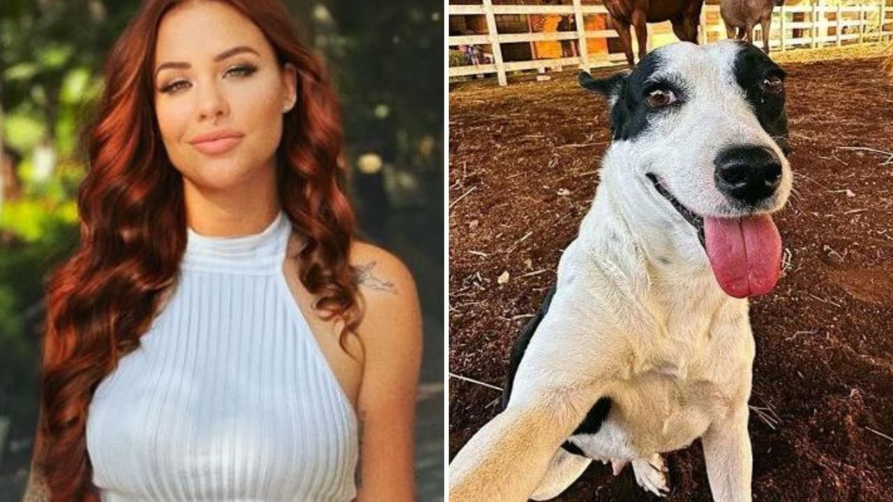 Ella es Altagracia, la perrita de Elena Larrea que la ayudaba en Cuacolandia: la historia de cómo la rescató