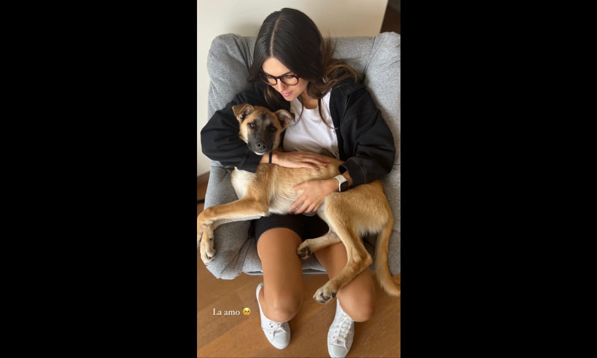 Romina Poza dejó sin palabras por tremenda imagen