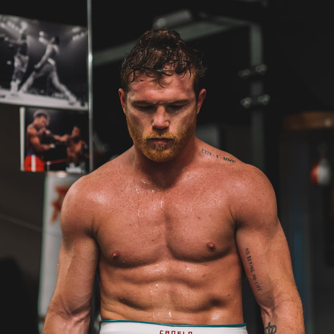 'Canelo' Álvarez volverá a pelear y ganará