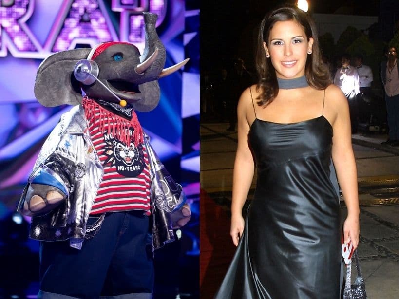 ¿Elefante es Angelica Vale? Usuarios e investigadores concuerdan