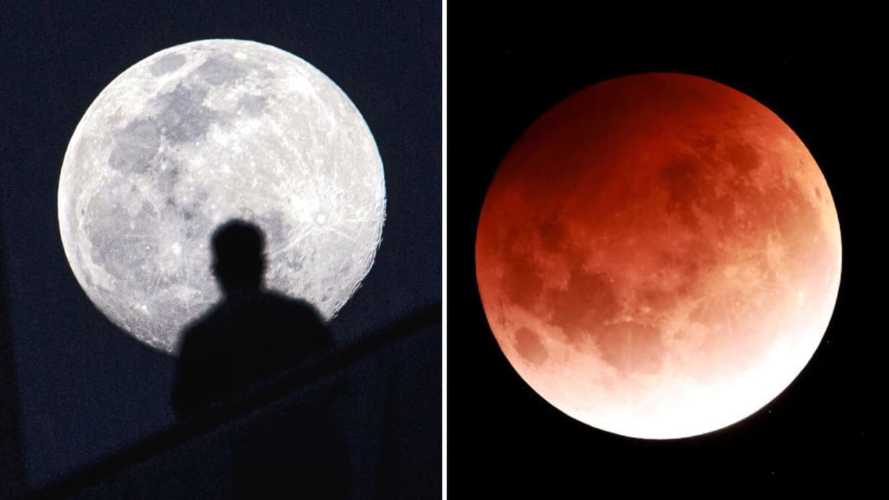 Los impresionantes eventos astronómicos que veremos en marzo 2024: habrá una luna de gusano