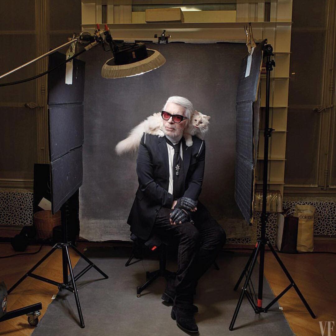 La gata, que llegó a sus manos por casualidad al cuidársela a un amigo, cuenta con su chef particular y una cuenta en Instagram con más de cien mil seguidores.