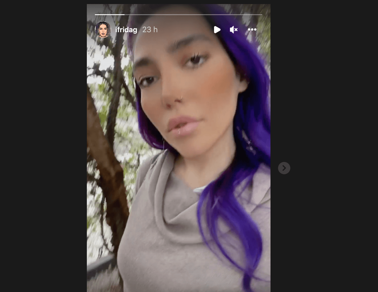 Instagram story @ifridag
