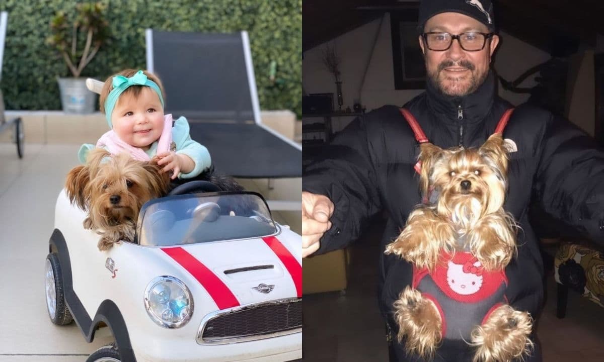 El actor y su esposa también está nde luto por la muerte de su perrita