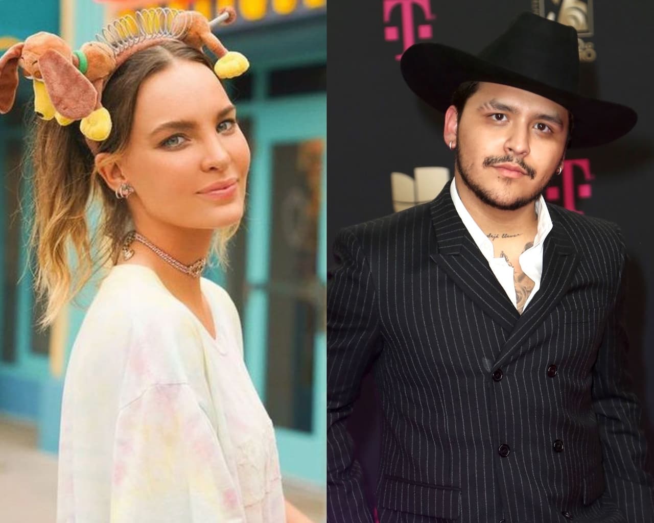 Por fin se supo que pasó con 4, la mascota que la expareja adoptó hace tiempo.