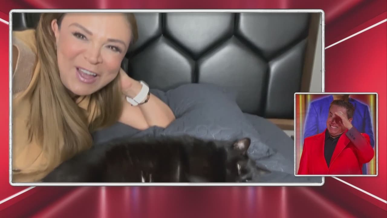 Mayito lloró al ver a su esposa Brenda junto a su gatita Alenka en 'La Casa de los Famosos México'