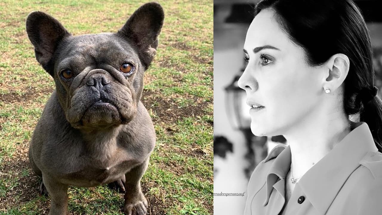 La actriz se despidió de su perrita Olí con un emotivo mensaje