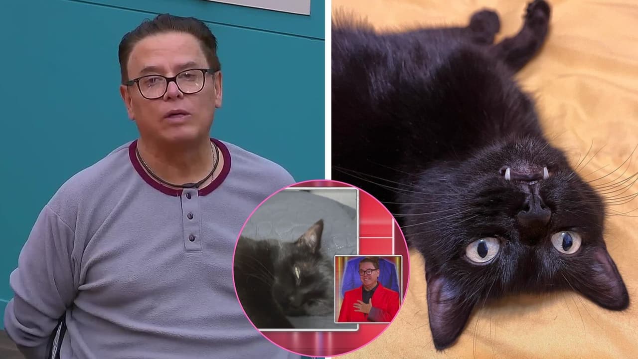 Mayito dedica tierno mensaje a Alenka, ¿sabías que la gatita tiene su propia cuenta de Instagram?