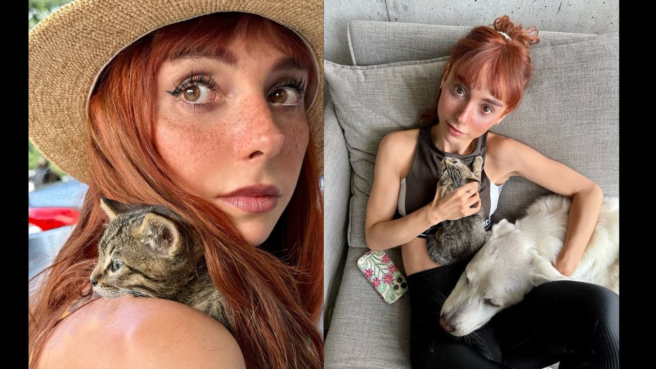 Natalia Téllez muestra al nuevo integrante de su familia: un gato cachorro