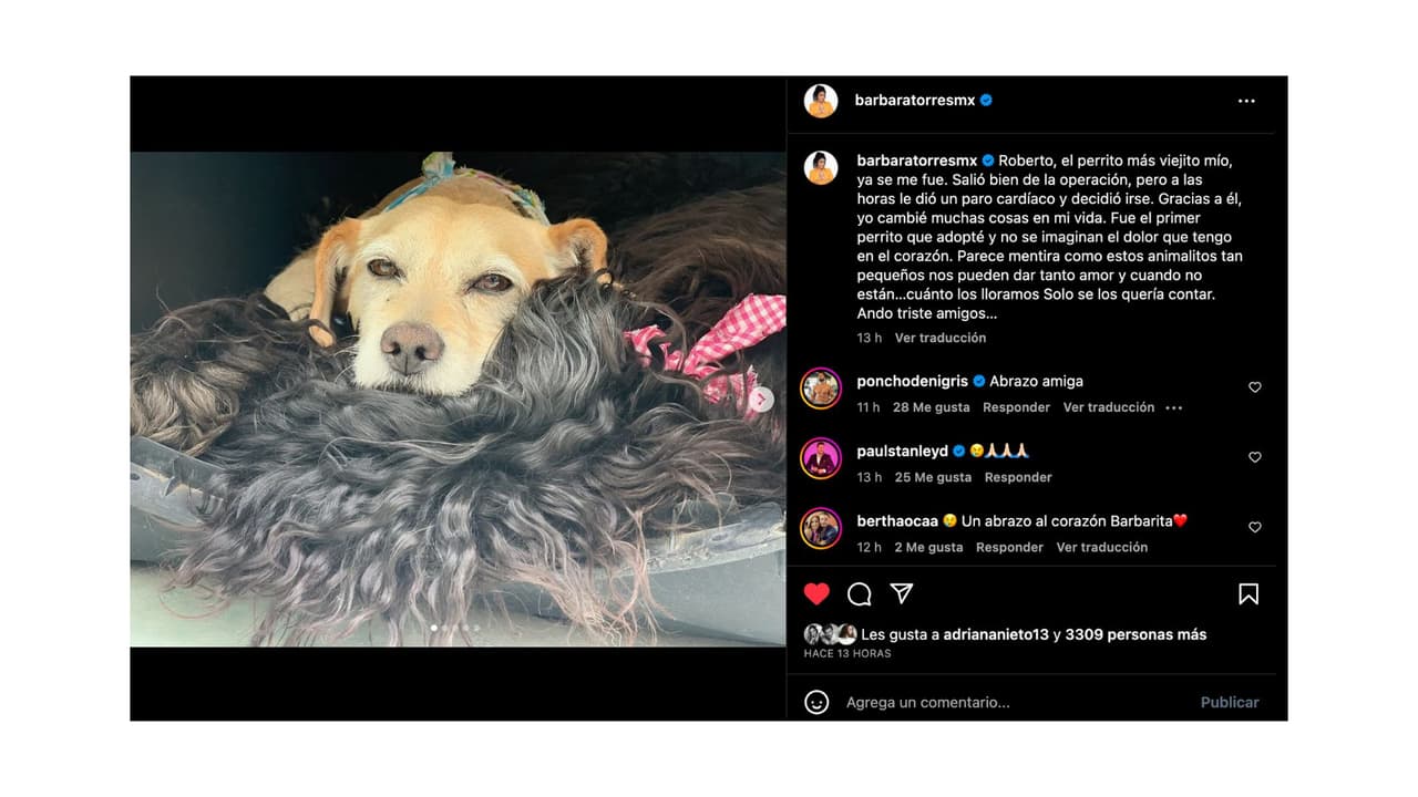 Bárbara Torres le dio el último adiós a Roberto.