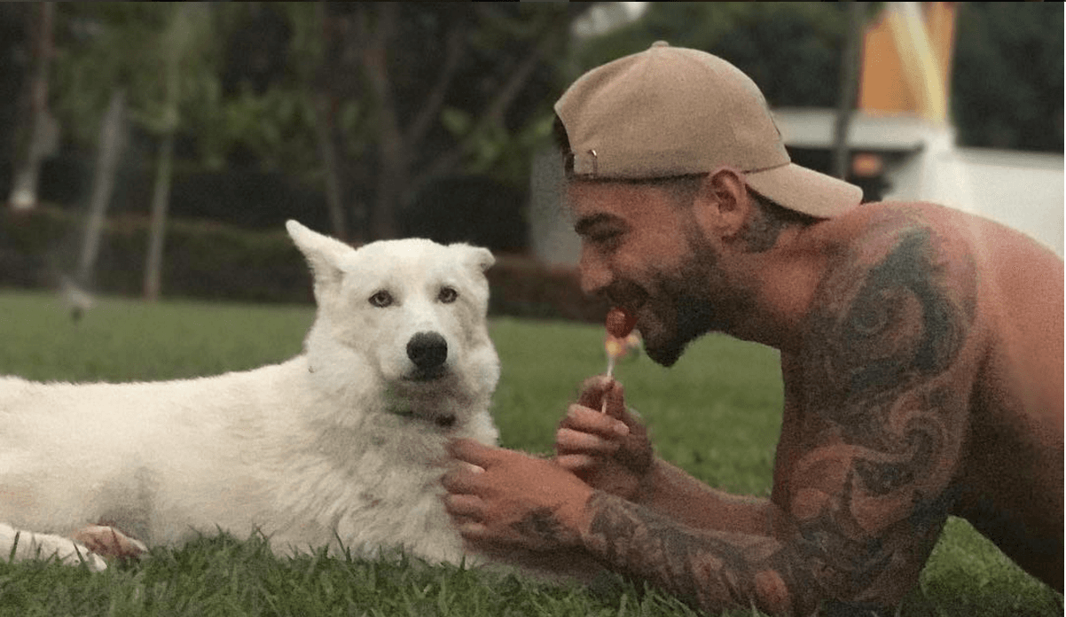 Actualmente Maluma forma parte de la Voz Kids ¡No te lo pierdas!
