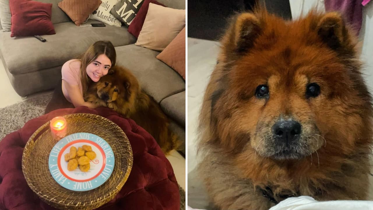 Mariana Botas recordó a su perrita Bimba en La Casa de los Famosos México 2025