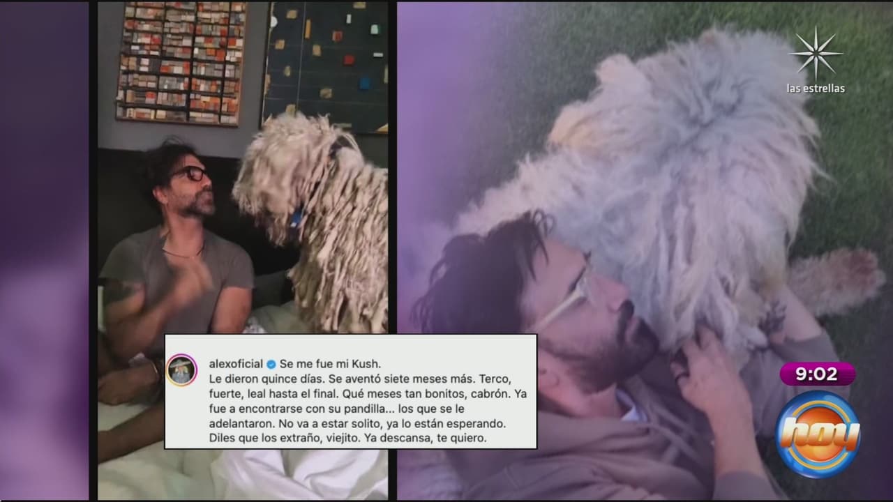 Alejandro Fernández se despide de su mascota.