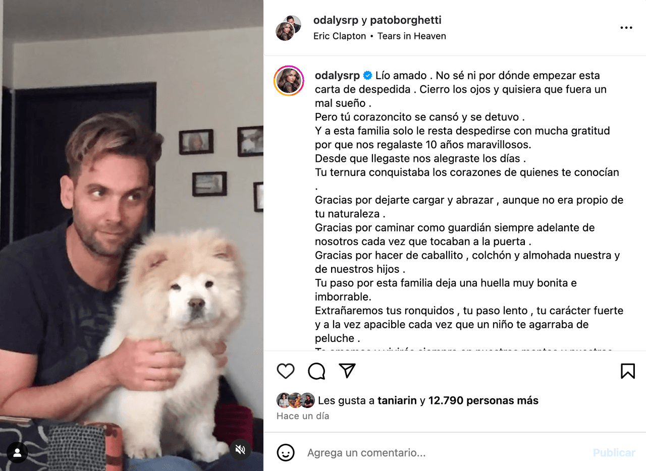 Esposo de Odalys Ramírez llora la muerte de su 'hijo'