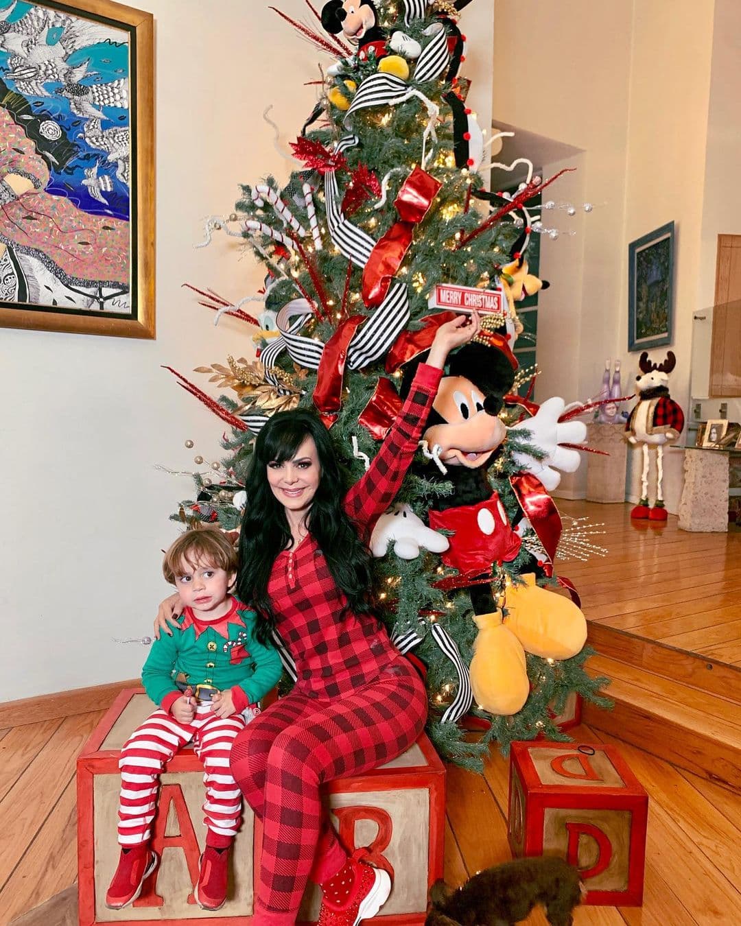 Maribel Guardia presumió su árbol de Navidad de ensueño en redes sociales, mismo que estuvo a cargo de Adriana Huerta. El diseño de su pino estuvo inspirado en en fantástico mundo de Disney, pues enormes peluches de Mickey Mouse, Pato Donald y Pluto destacaron en la foto.