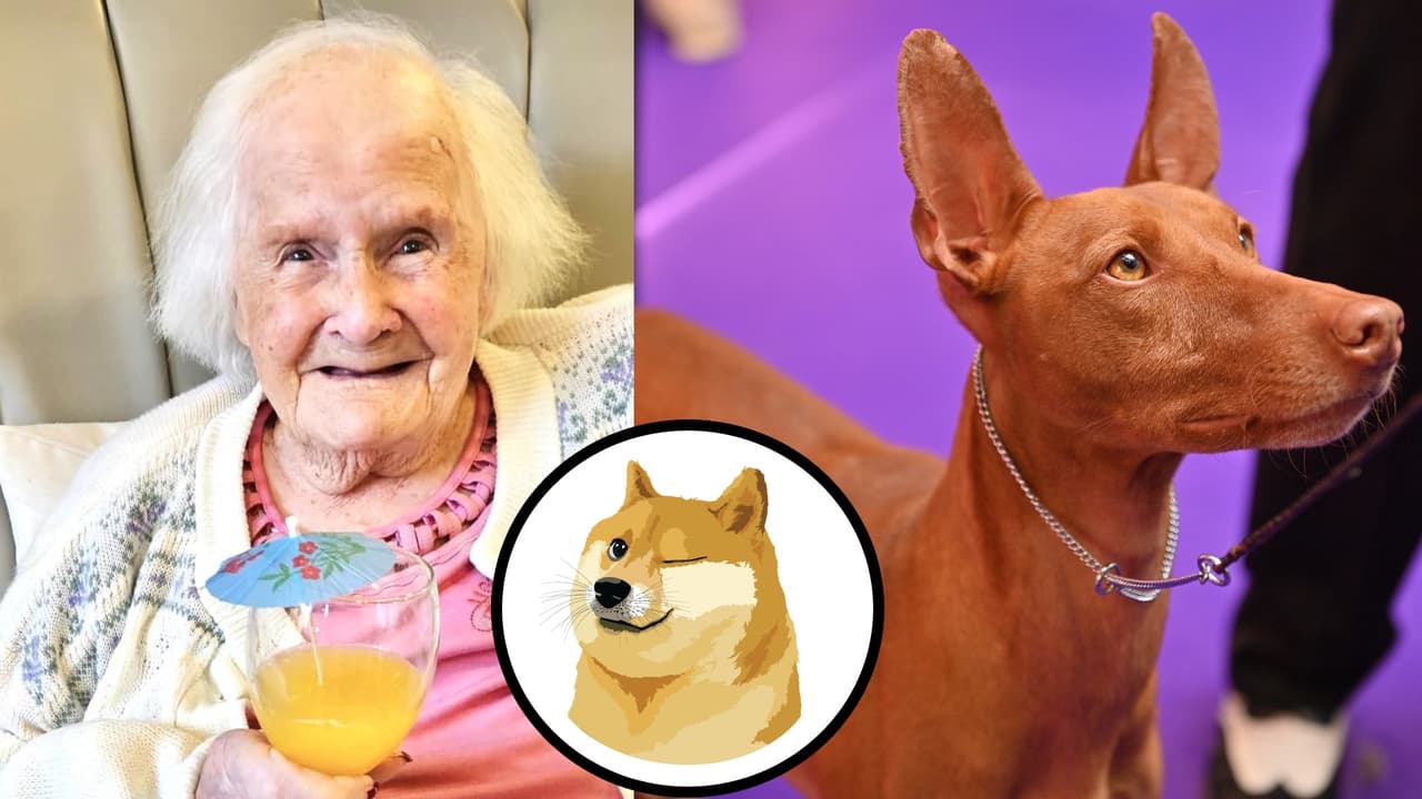 Mujer de 108 años asegura que gracias a los perros ha vivid tanto tiempo.