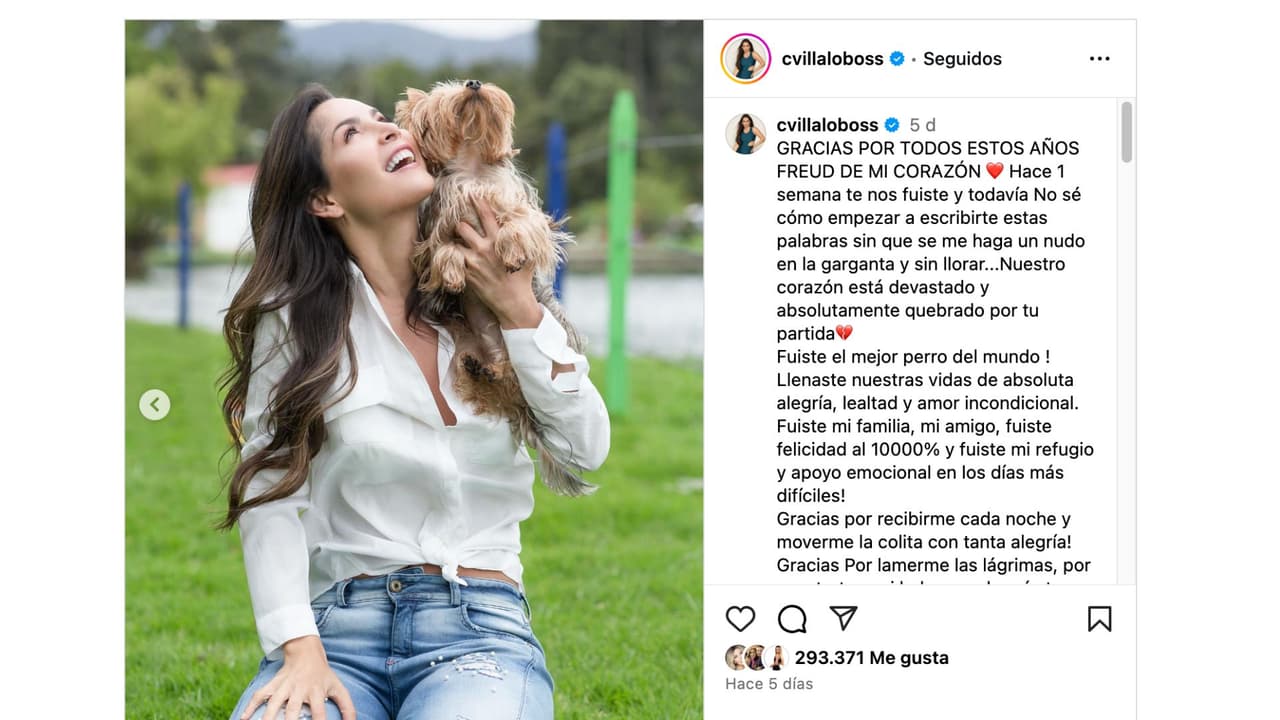Carmen Villalobos se despide de su perrito.