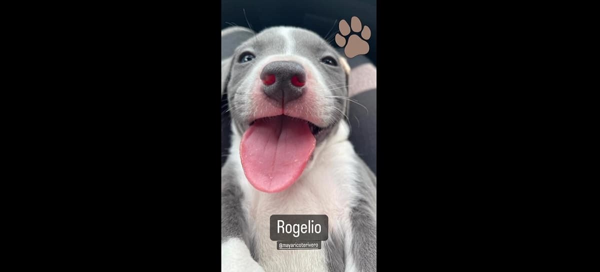 Patricio de Rodas compartió una foto del nuevo integrante de la familia