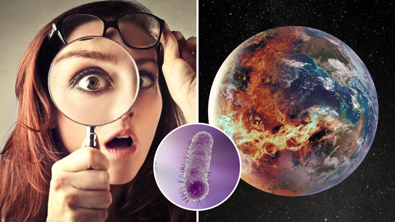 Ciencia revela cuando ocurrió la más grande extinción masiva de la Tierra: ¿la inició una bacteria?