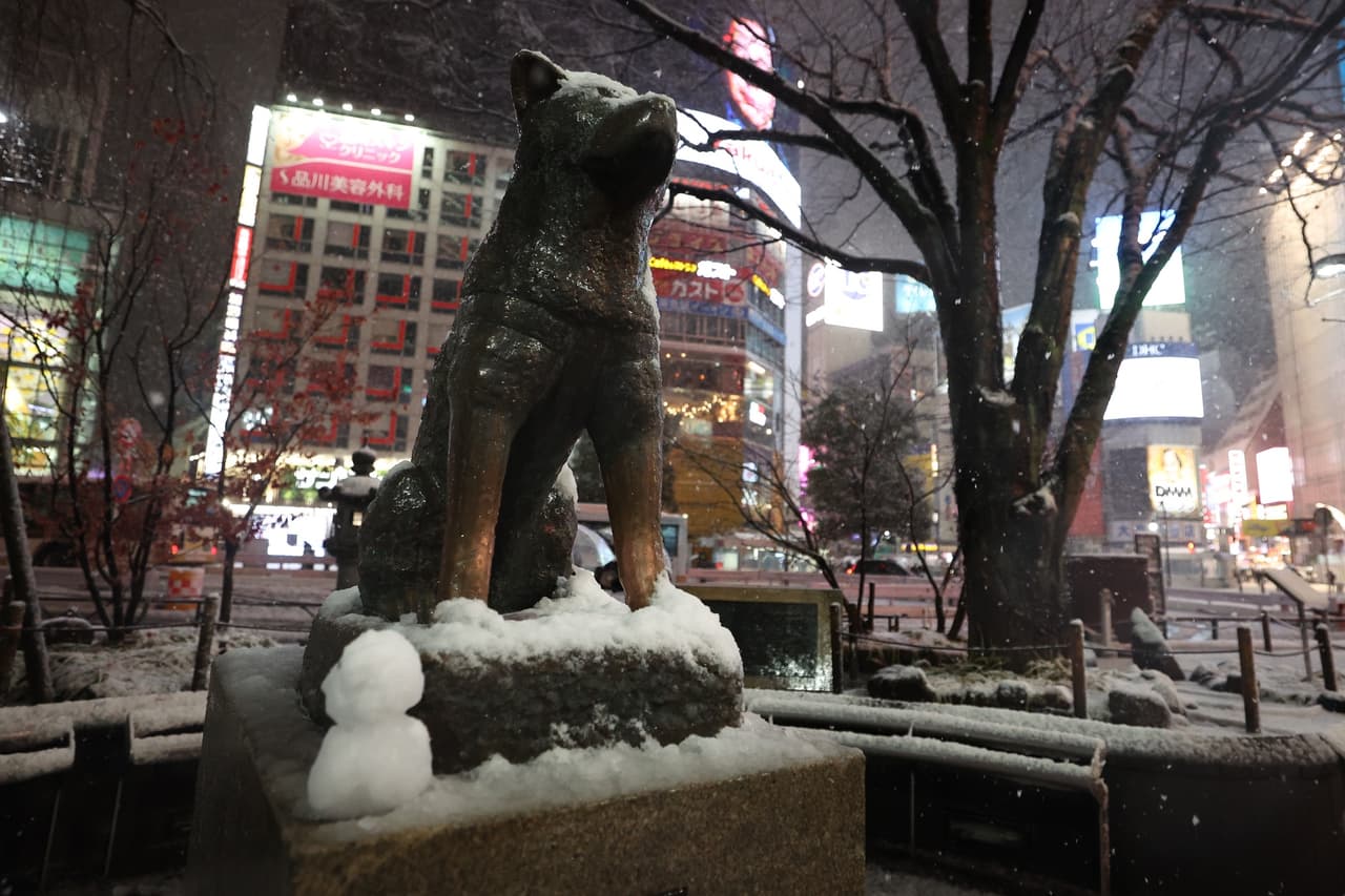 Hachiko tiene su estatua en Japón, la cual es visitada por millones de turistas cada año.