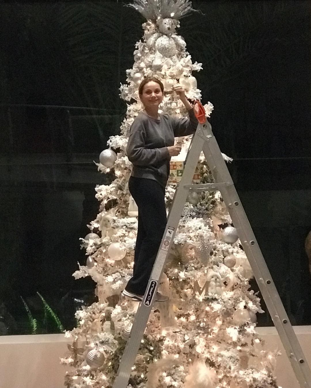 Elizabeth Álvarez mostró el impresionante árbol blanco que puso en su casa