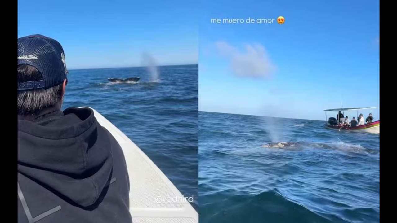 Aislinn Derbez viajó con Vadhir a Baja California para celebrar su cumpleaños