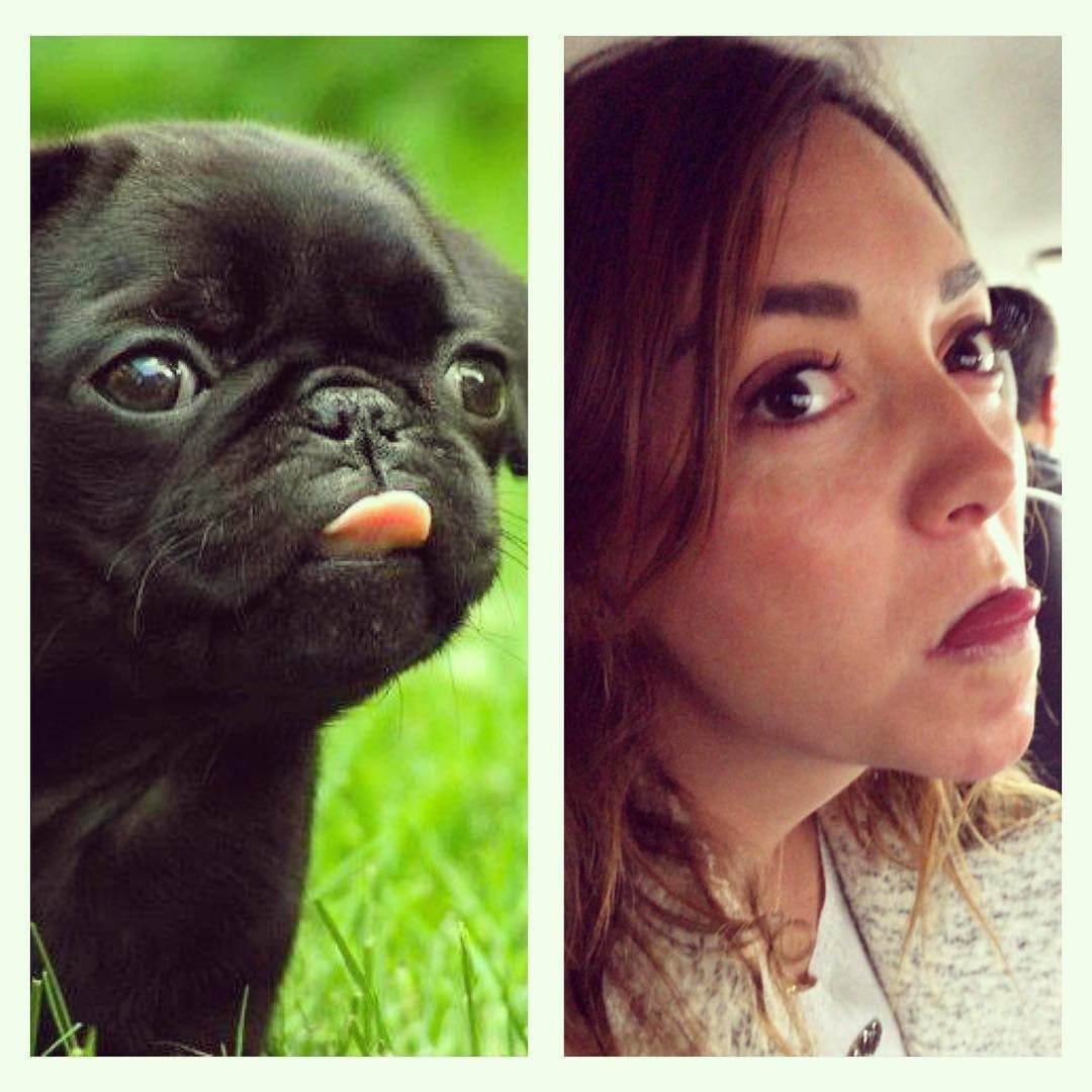Regina Blandón fue de las más bromistas y se comparó con un perro Pug.
