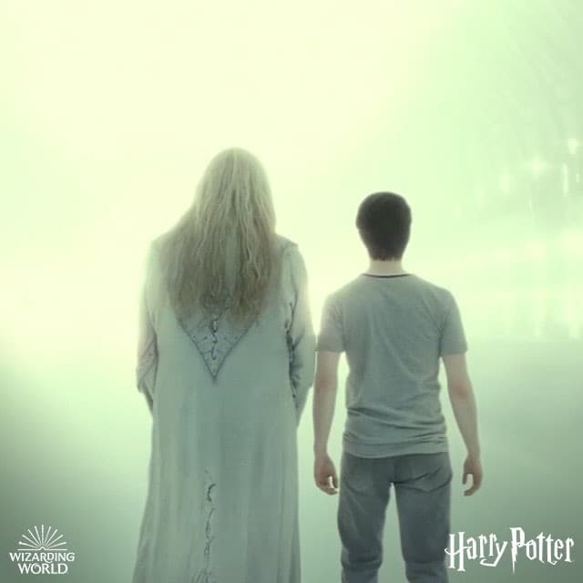 ¿Habrá una serie de Harry Potter?