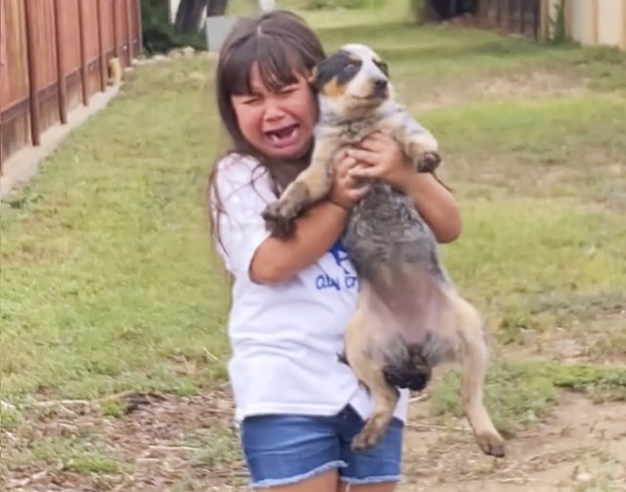 Pequeña se reencuentra con su perrita perdida y su reacción te sacará las lágrimas