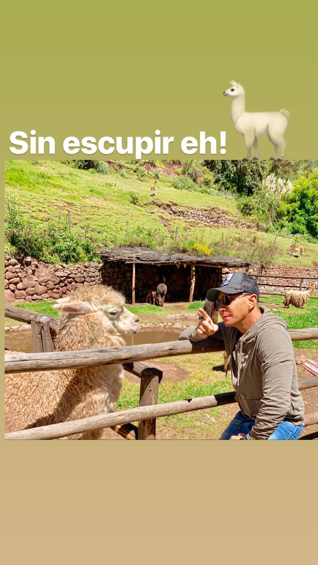 Pero la conductora no fue la única que mostró su viaje a Perú en Instagram, su esposo Erik Rubín compartió una imagen al lado de una llama.
