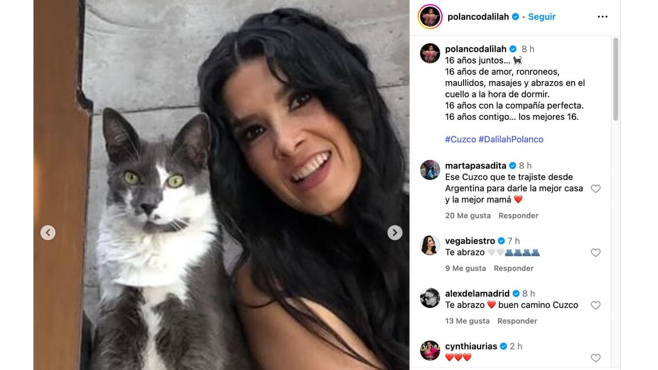 Dalílah Polanco se despide de su gatito 'Cuzco'.