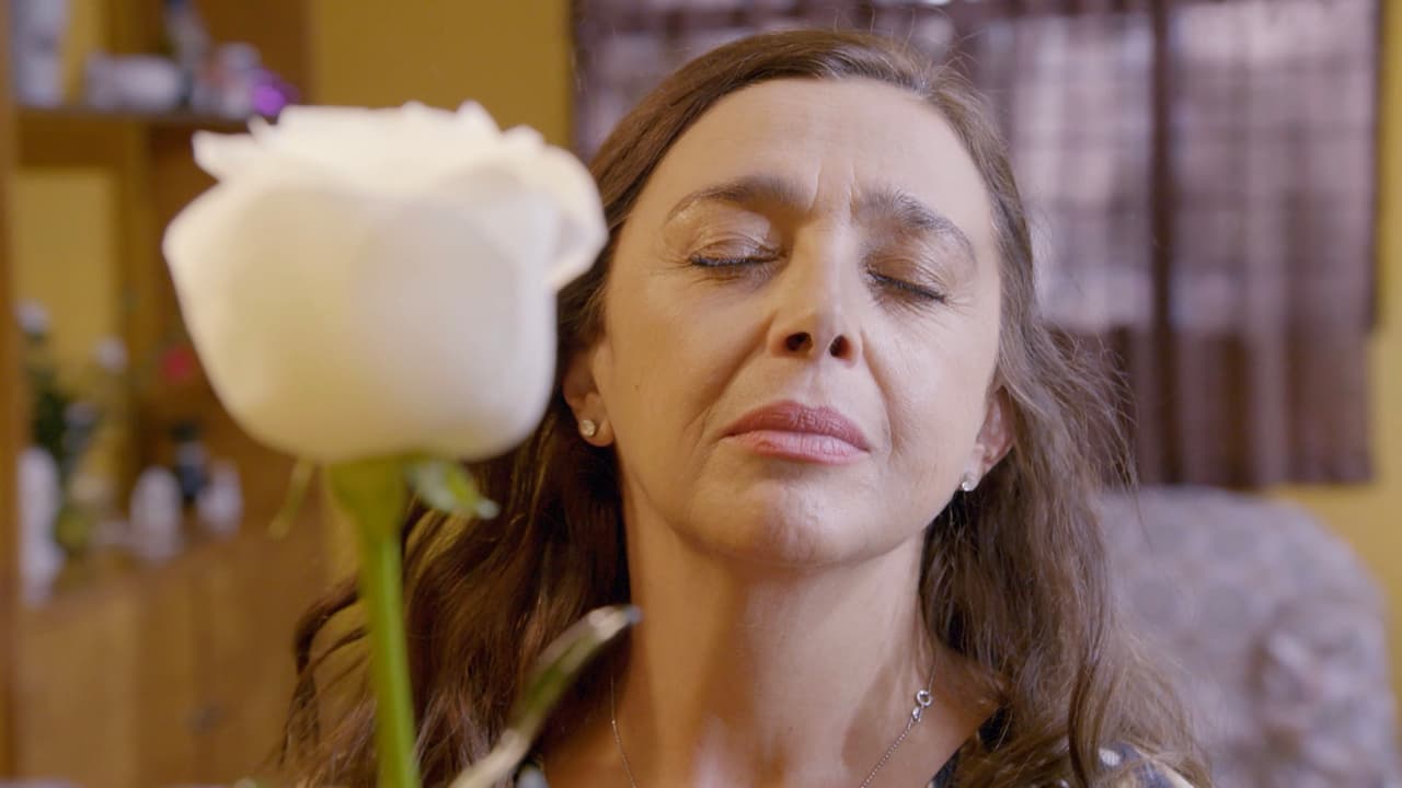 MARATÓN: Mamás inquebrantables en 'La Rosa de Guadalupe'