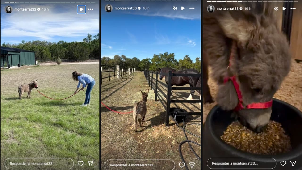 Montserrat Oliver presume el tierno regalo de cumpleaños que le dio su esposa
