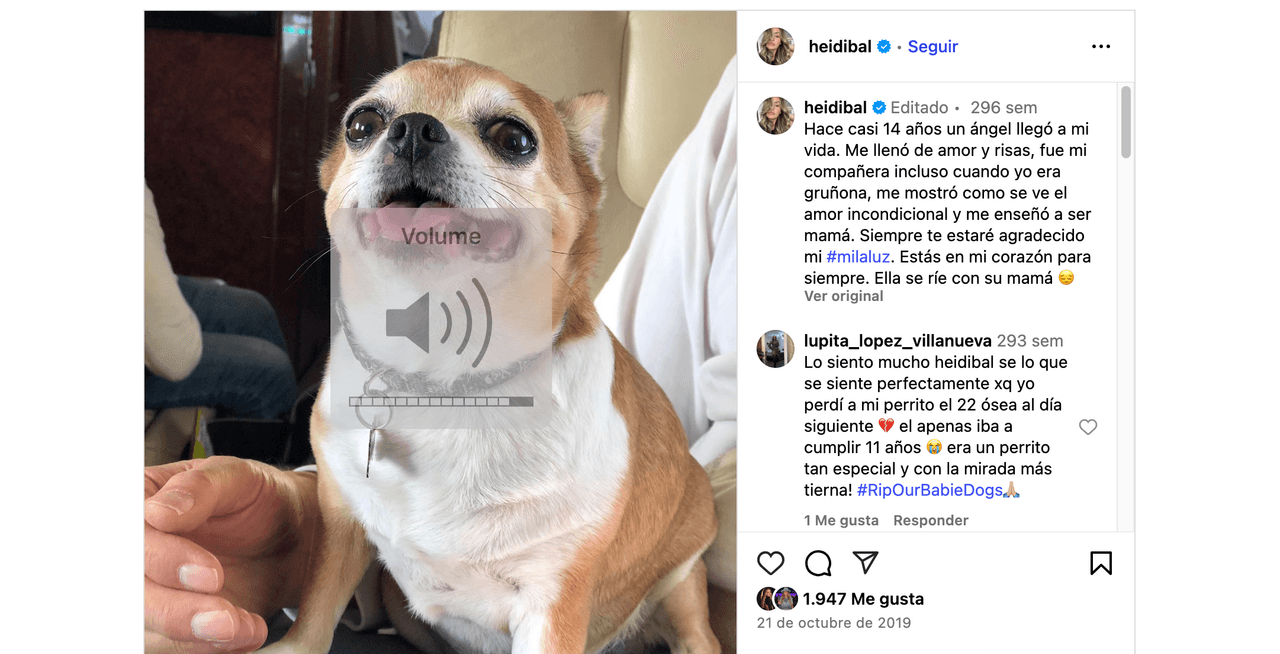 Jaime Camil y su esposa enfrentaron la muerte de su pequeña