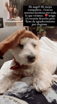 Ferk se despidió públicamente de su fiel compañera.