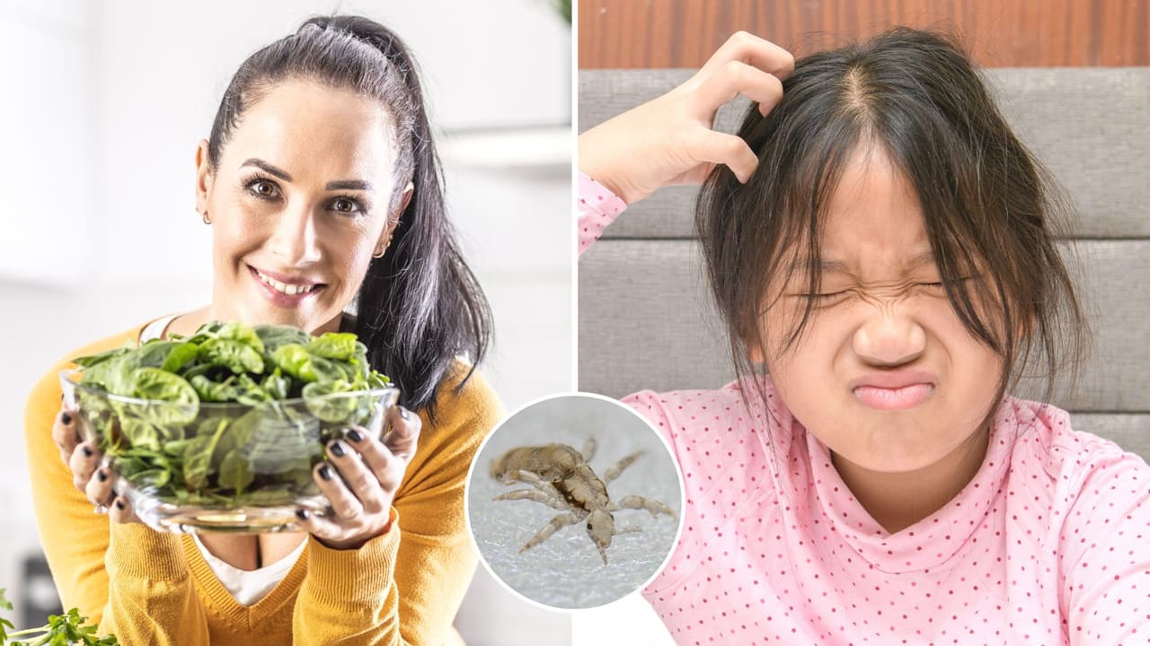 Mujer vegana se niega a quitarle los piojos a su hija porque son seres sintientes: recibe críticas