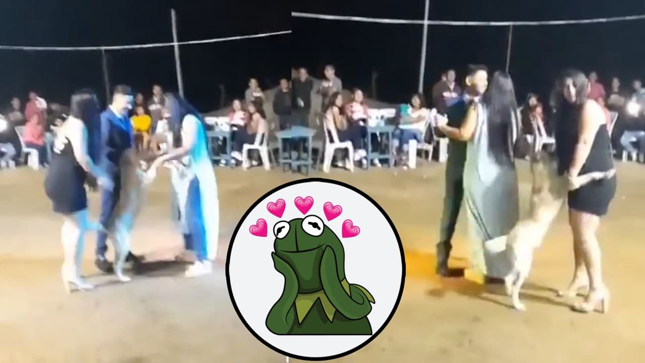 Perrito ‘baila el vals’ y se roba el show en los XV años de un joven: “Tan lindo Firulais”