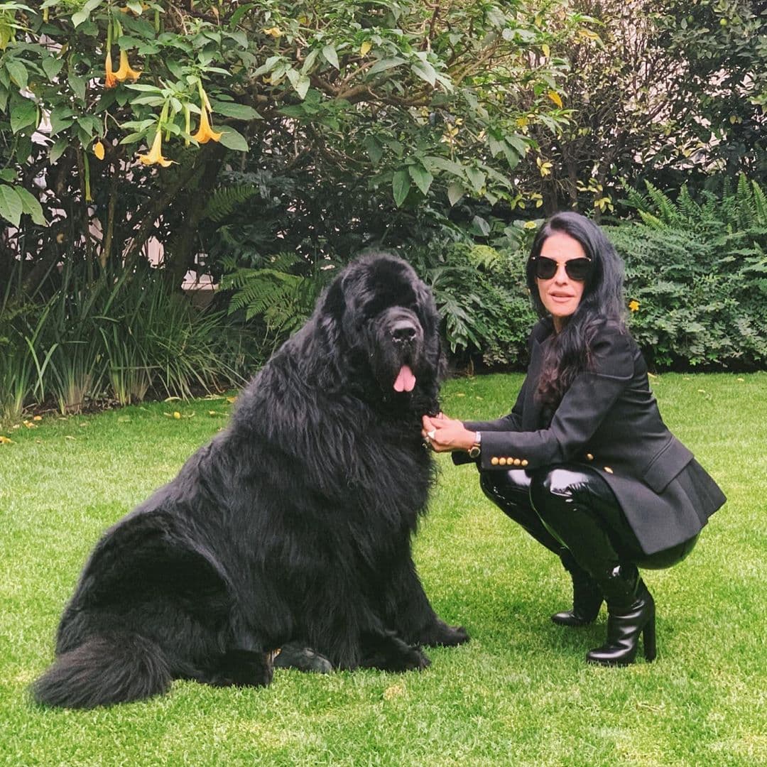 Martha Debayle está de luto y lo anuncia con emotivo video: “Adiós mi amor”